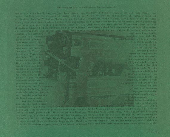 Sigmar Polke - Offsetlithografie